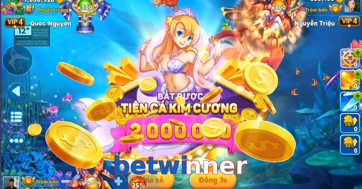 betwinner